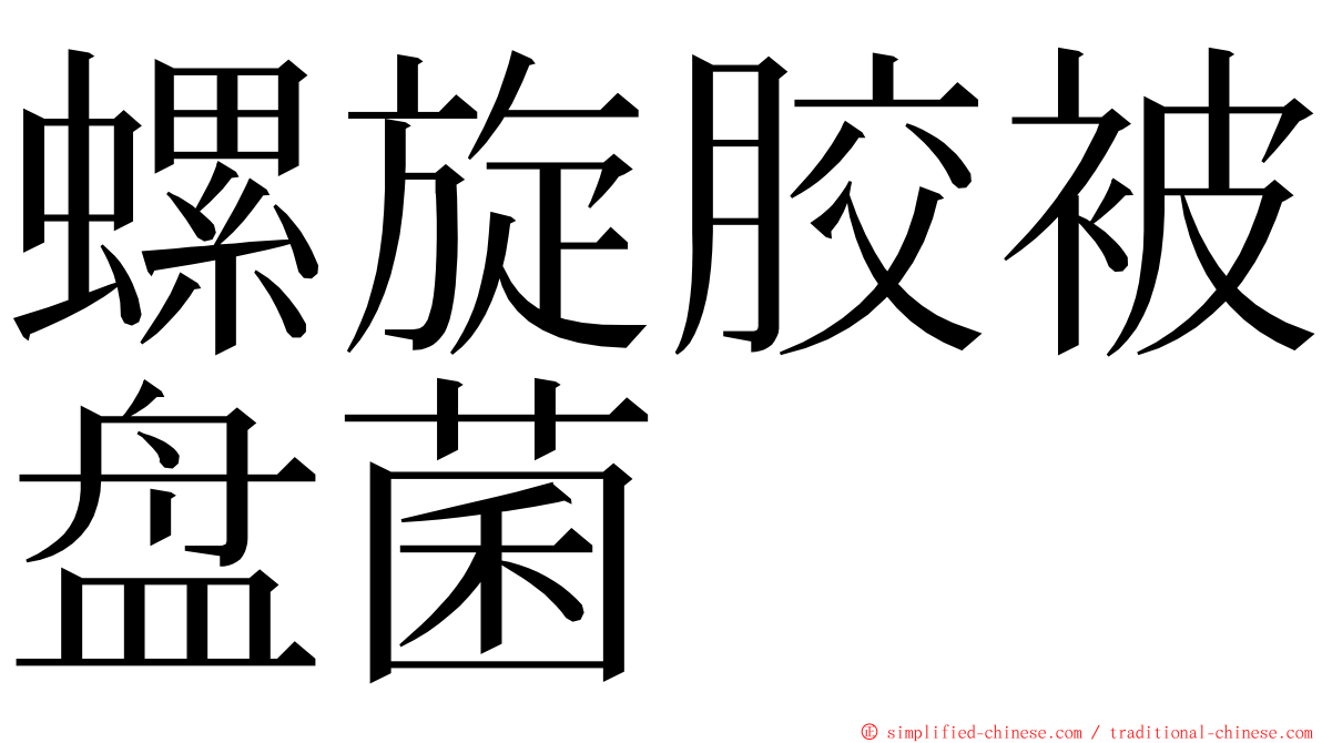 螺旋胶被盘菌 ming font