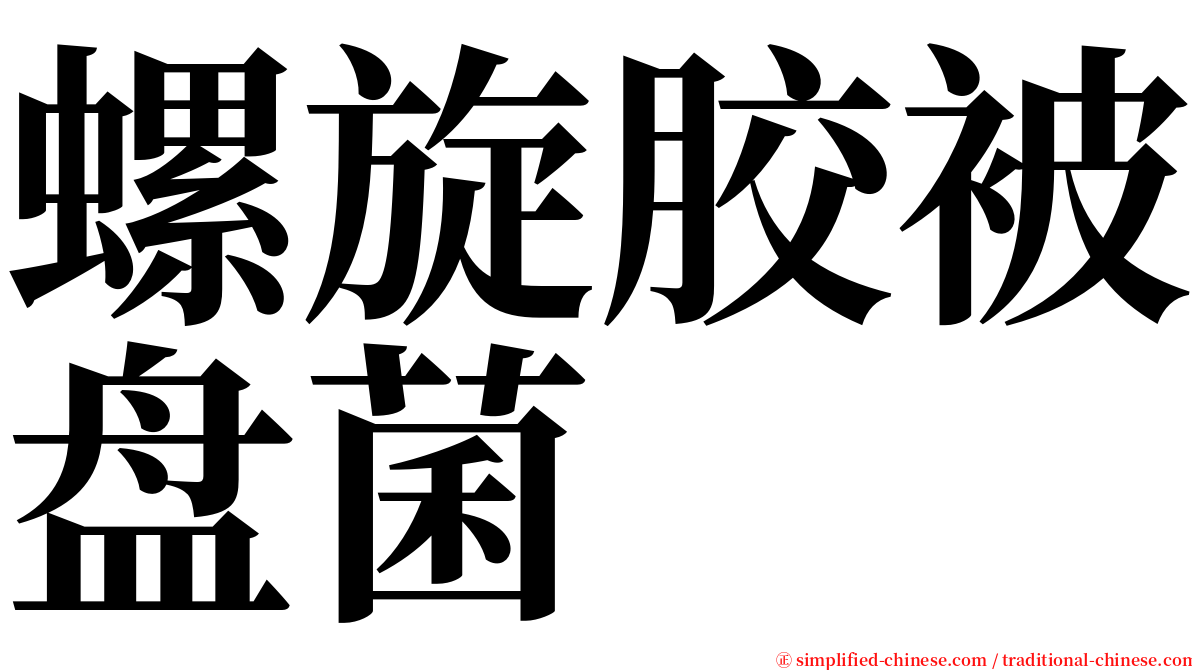 螺旋胶被盘菌 serif font