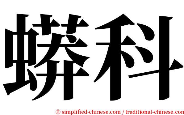 蟒科 serif font