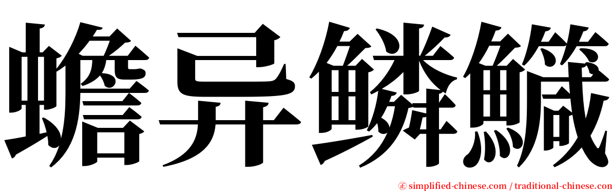 蟾异鳞鱵 serif font