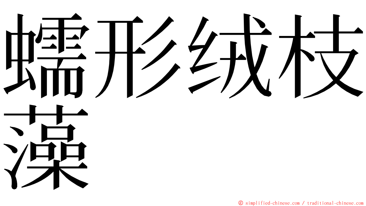 蠕形绒枝藻 ming font