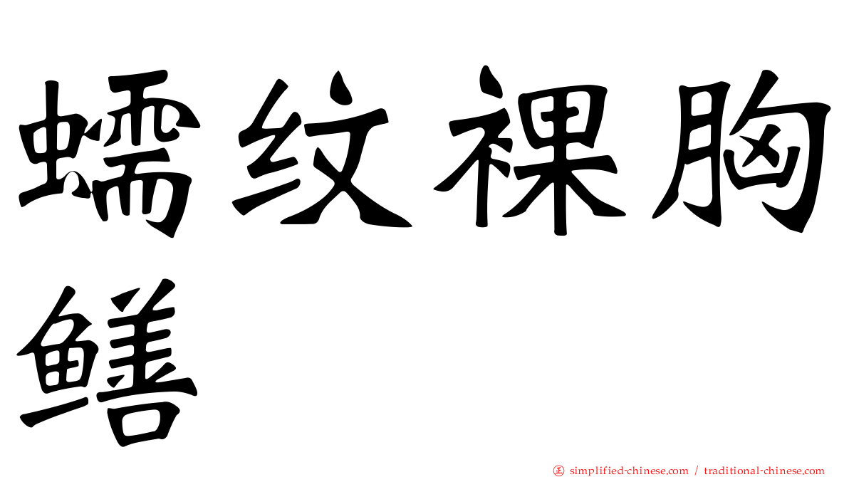 蠕纹裸胸鳝