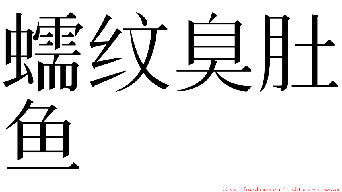 蠕纹臭肚鱼 ming font