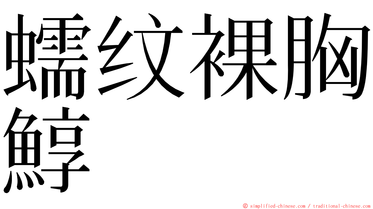 蠕纹裸胸鯙 ming font