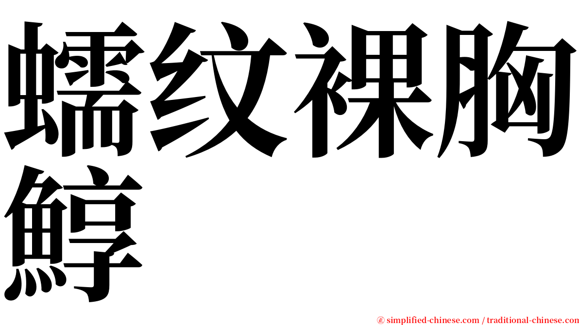 蠕纹裸胸鯙 serif font