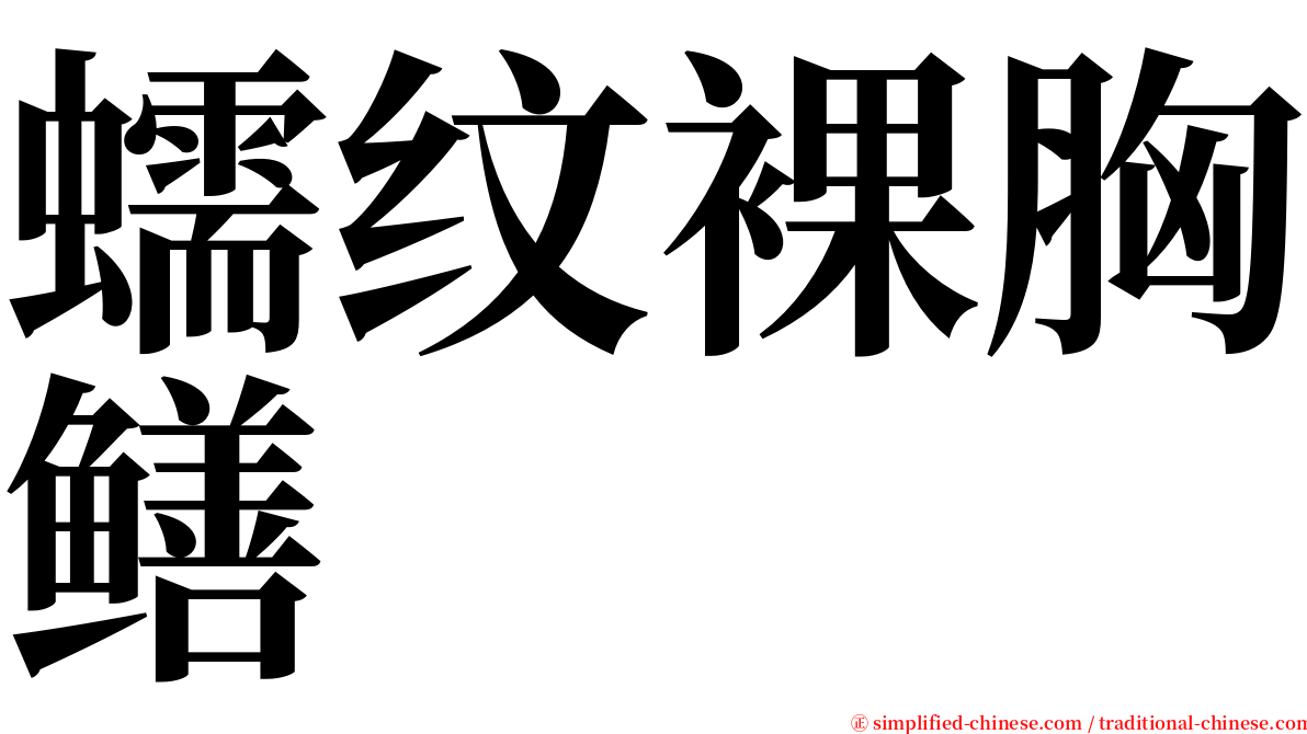 蠕纹裸胸鳝 serif font