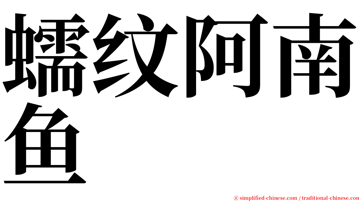 蠕纹阿南鱼 serif font