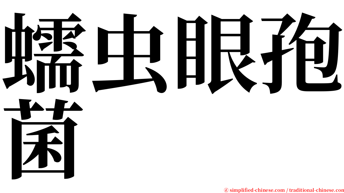 蠕虫眼孢菌 serif font