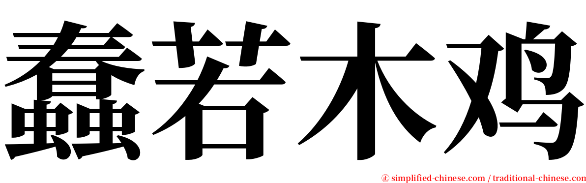 蠢若木鸡 serif font