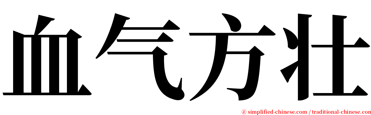 血气方壮 serif font