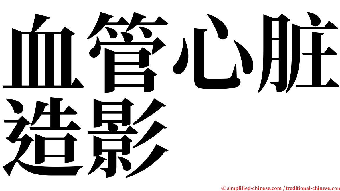 血管心脏造影 serif font