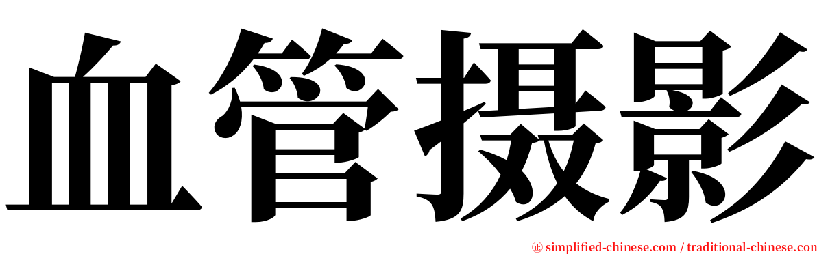 血管摄影 serif font