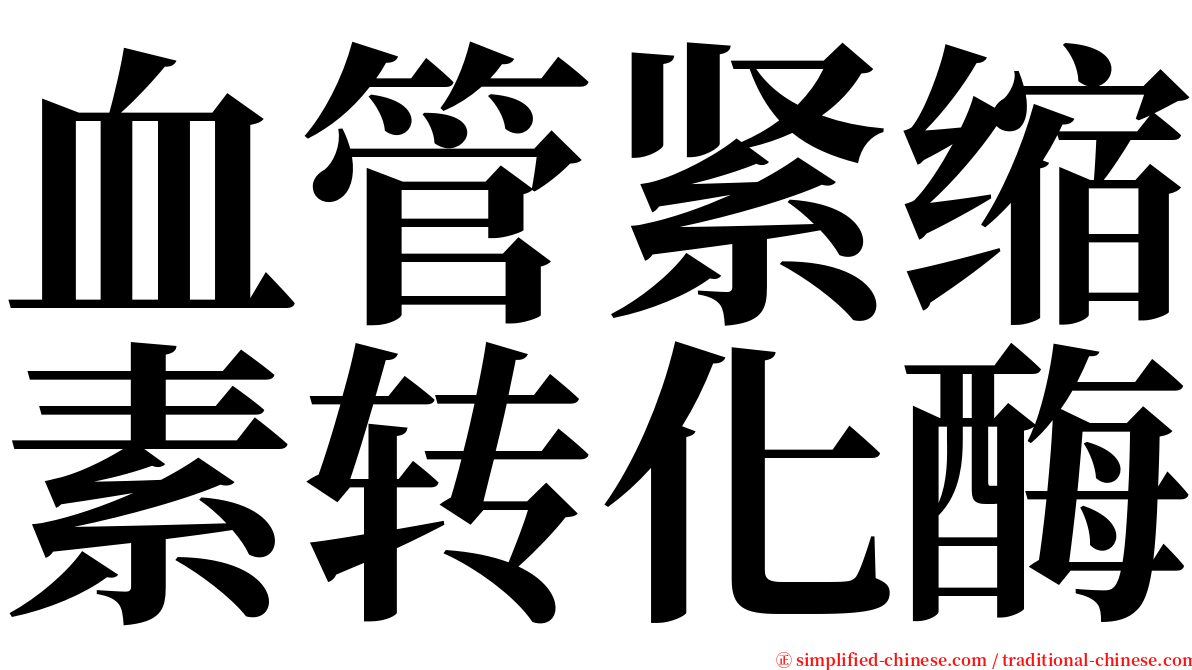 血管紧缩素转化酶 serif font