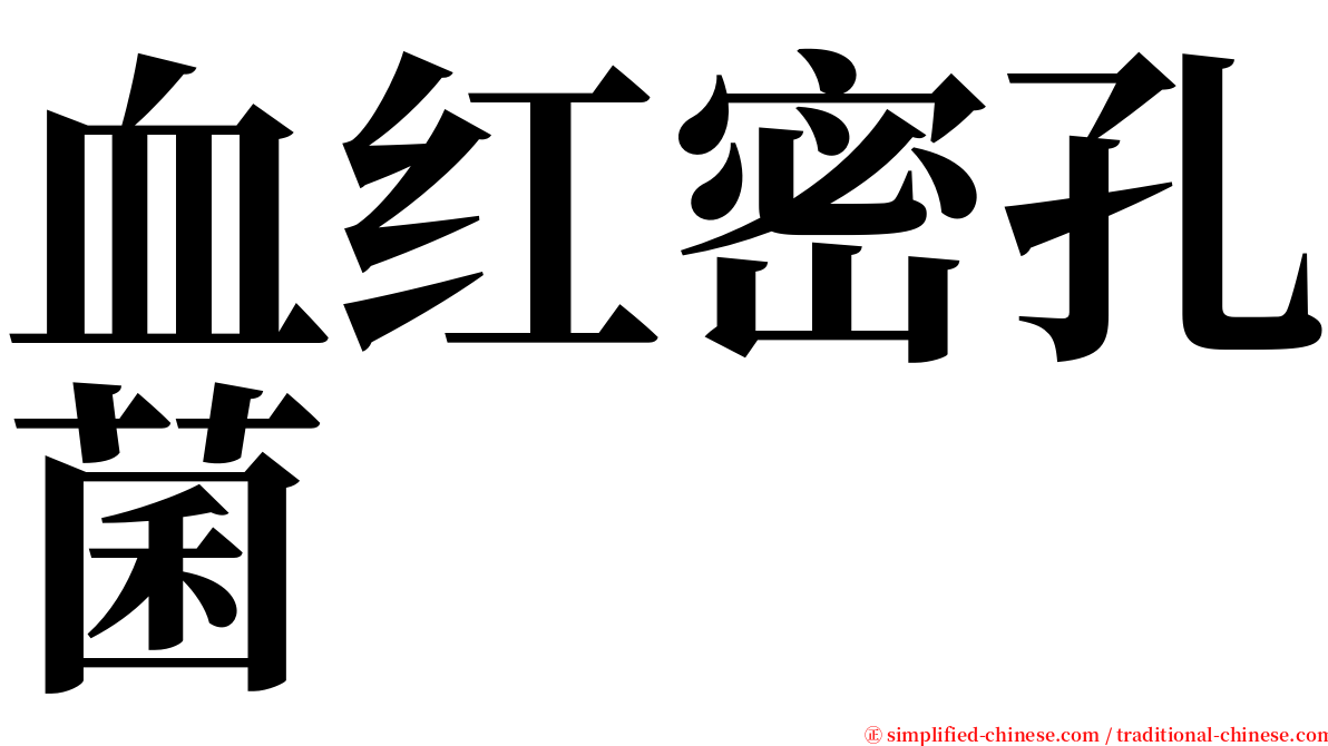 血红密孔菌 serif font