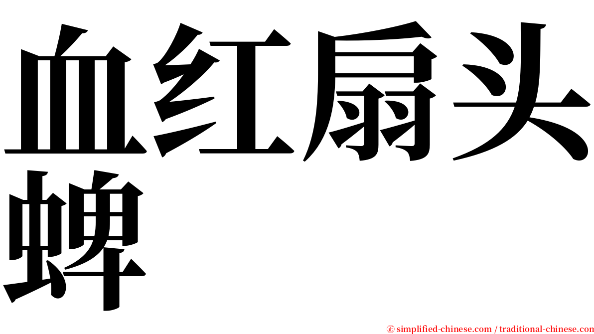 血红扇头蜱 serif font