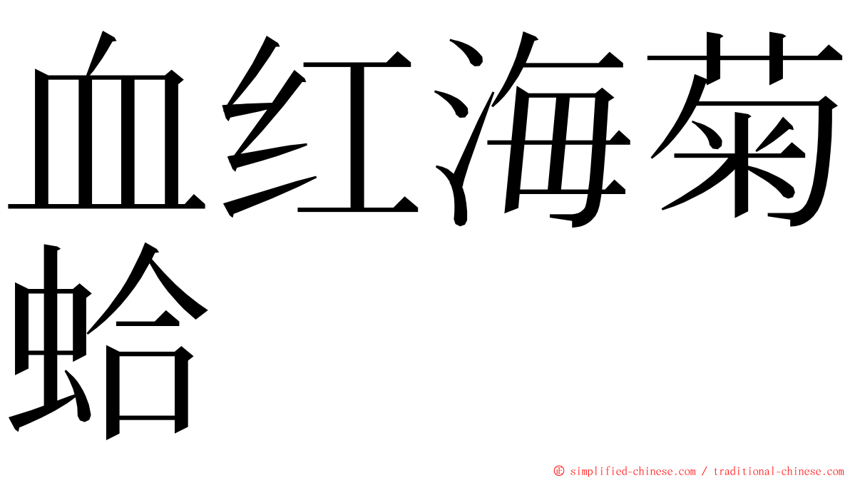 血红海菊蛤 ming font