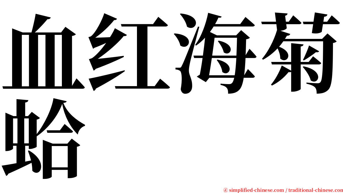 血红海菊蛤 serif font