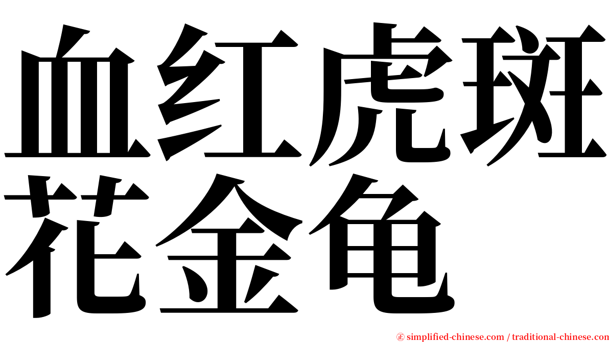 血红虎斑花金龟 serif font