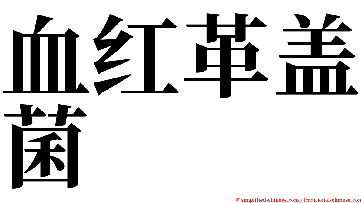 血红革盖菌 serif font