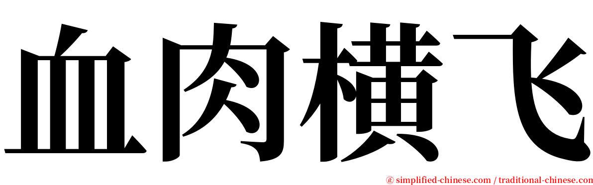 血肉横飞 serif font