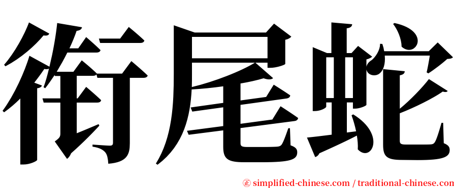 衔尾蛇 serif font
