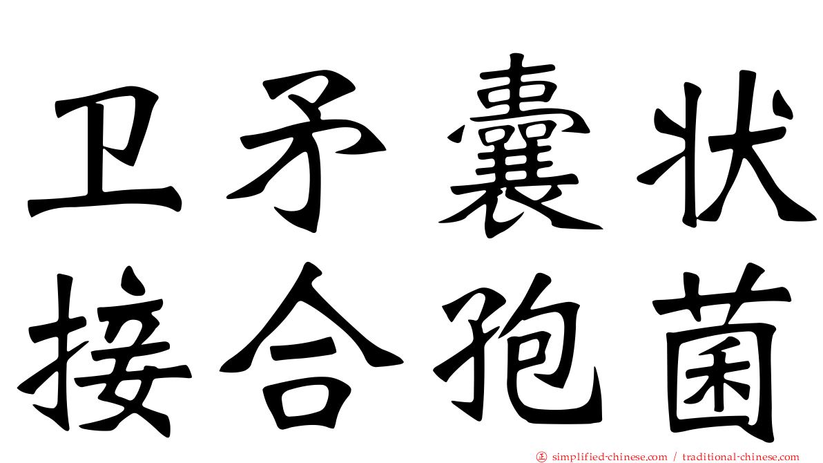卫矛囊状接合孢菌