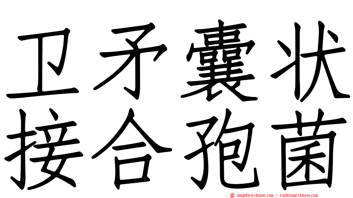 卫矛囊状接合孢菌