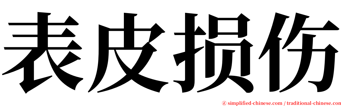 表皮损伤 serif font