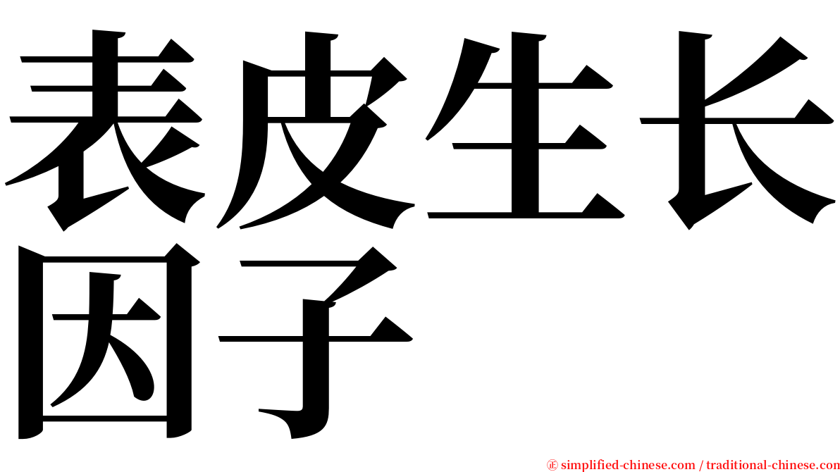 表皮生长因子 serif font