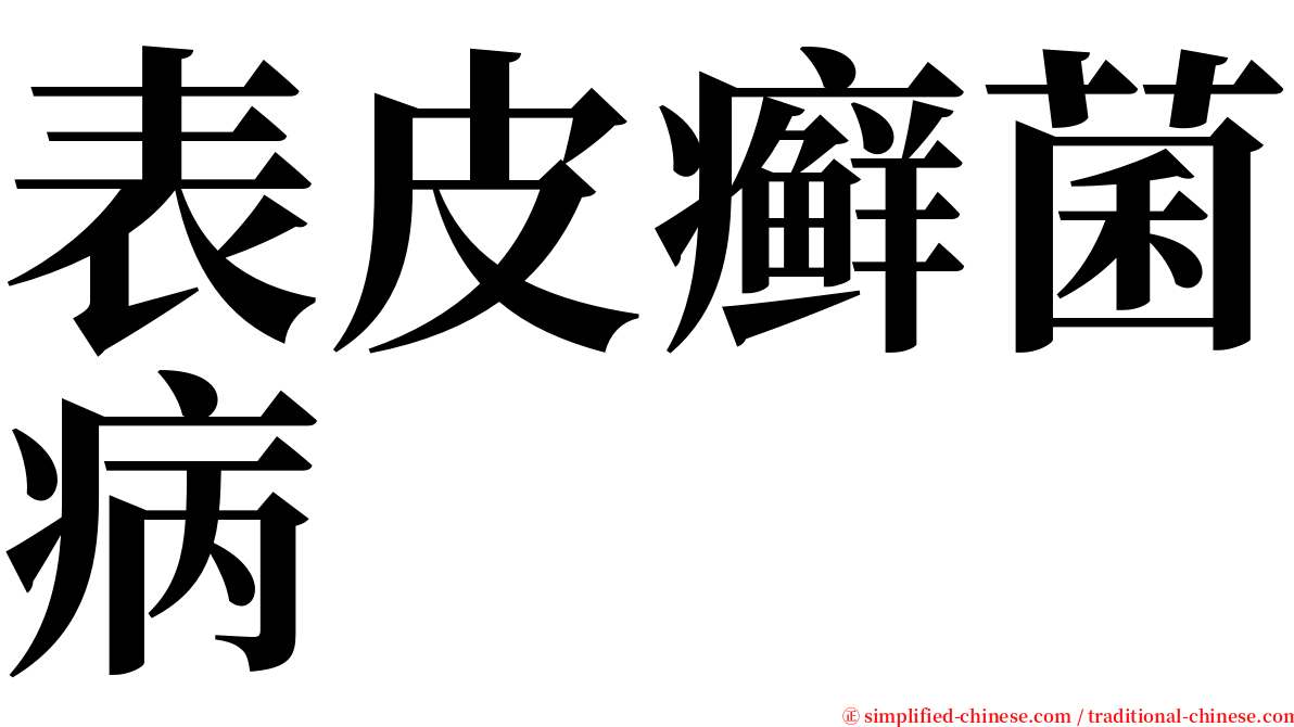 表皮癣菌病 serif font