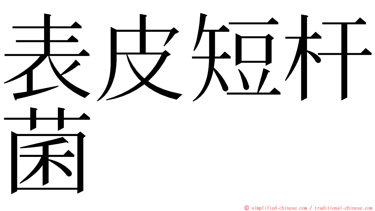 表皮短杆菌 ming font