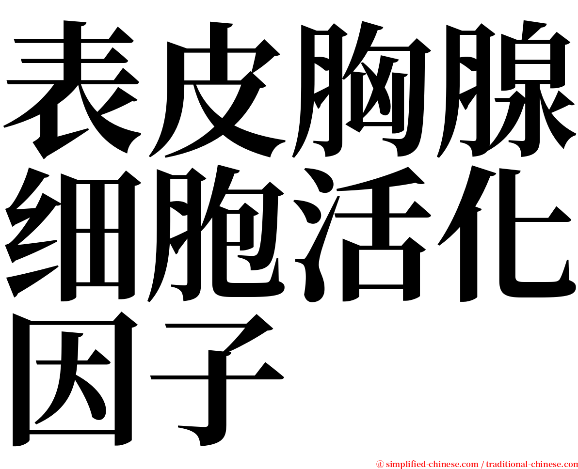 表皮胸腺细胞活化因子 serif font