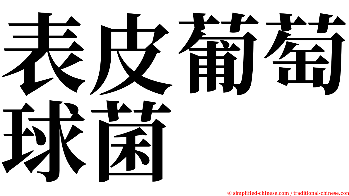 表皮葡萄球菌 serif font