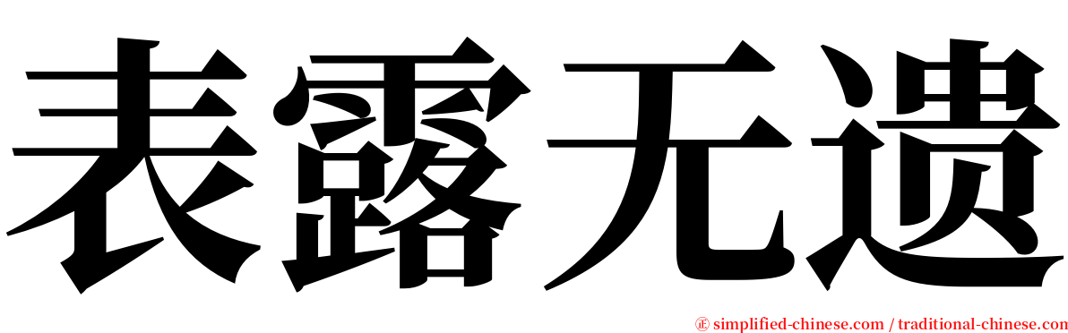 表露无遗 serif font