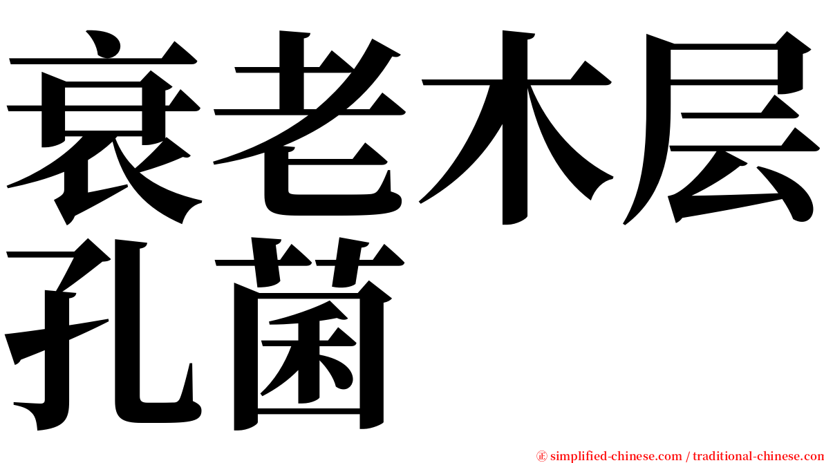 衰老木层孔菌 serif font