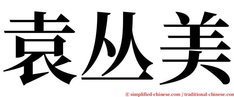 袁丛美 serif font