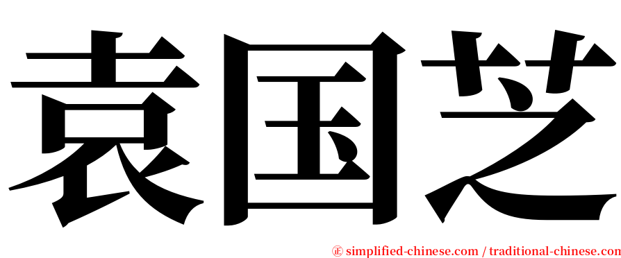 袁国芝 serif font