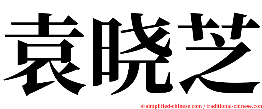 袁晓芝 serif font