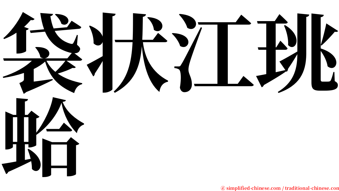 袋状江珧蛤 serif font