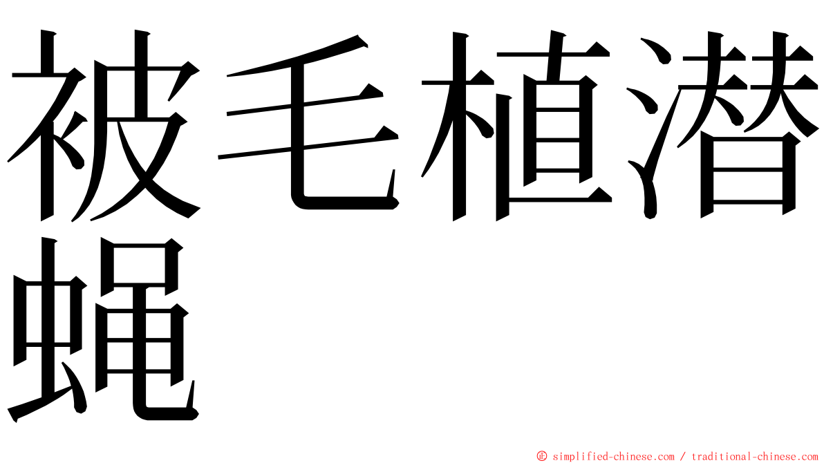 被毛植潜蝇 ming font