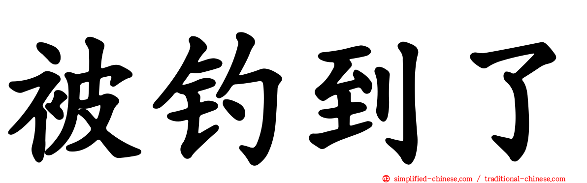 被钓到了