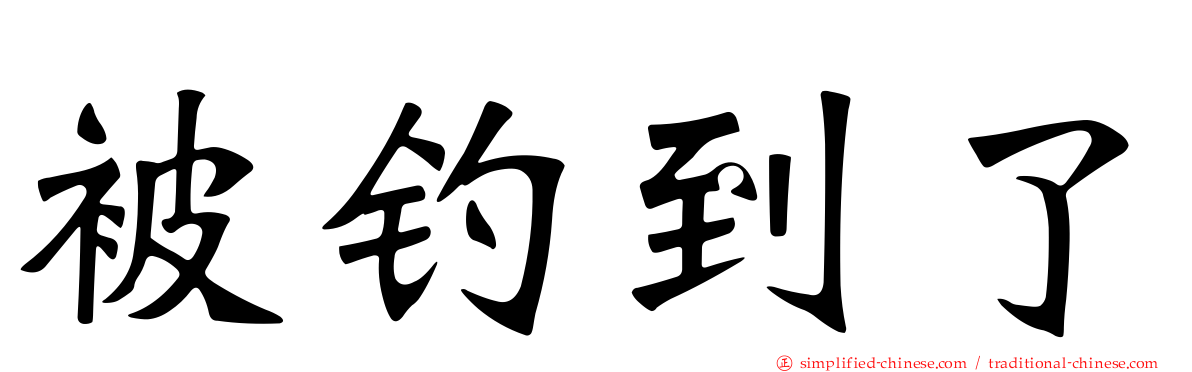 被钓到了