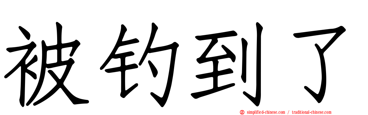 被钓到了