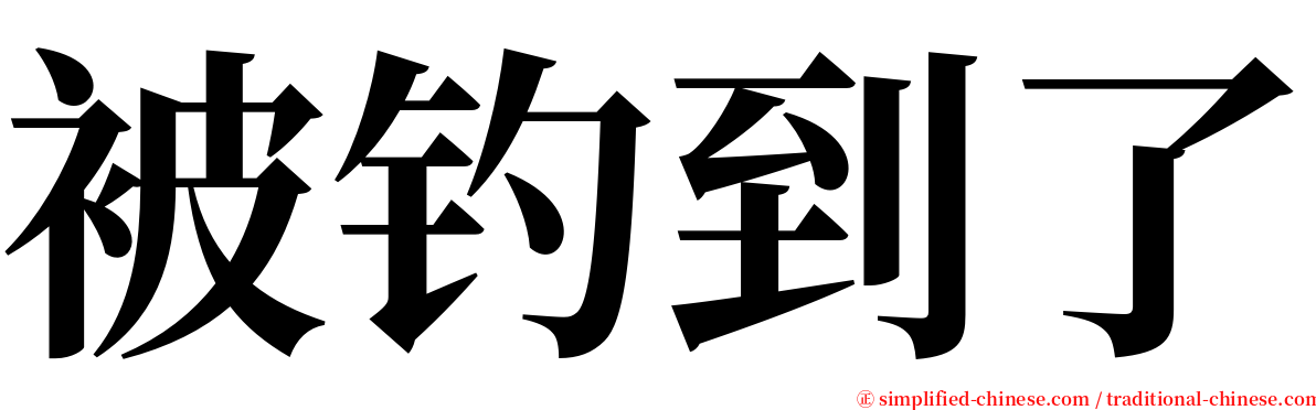 被钓到了 serif font