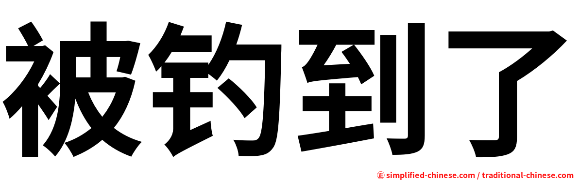 被钓到了