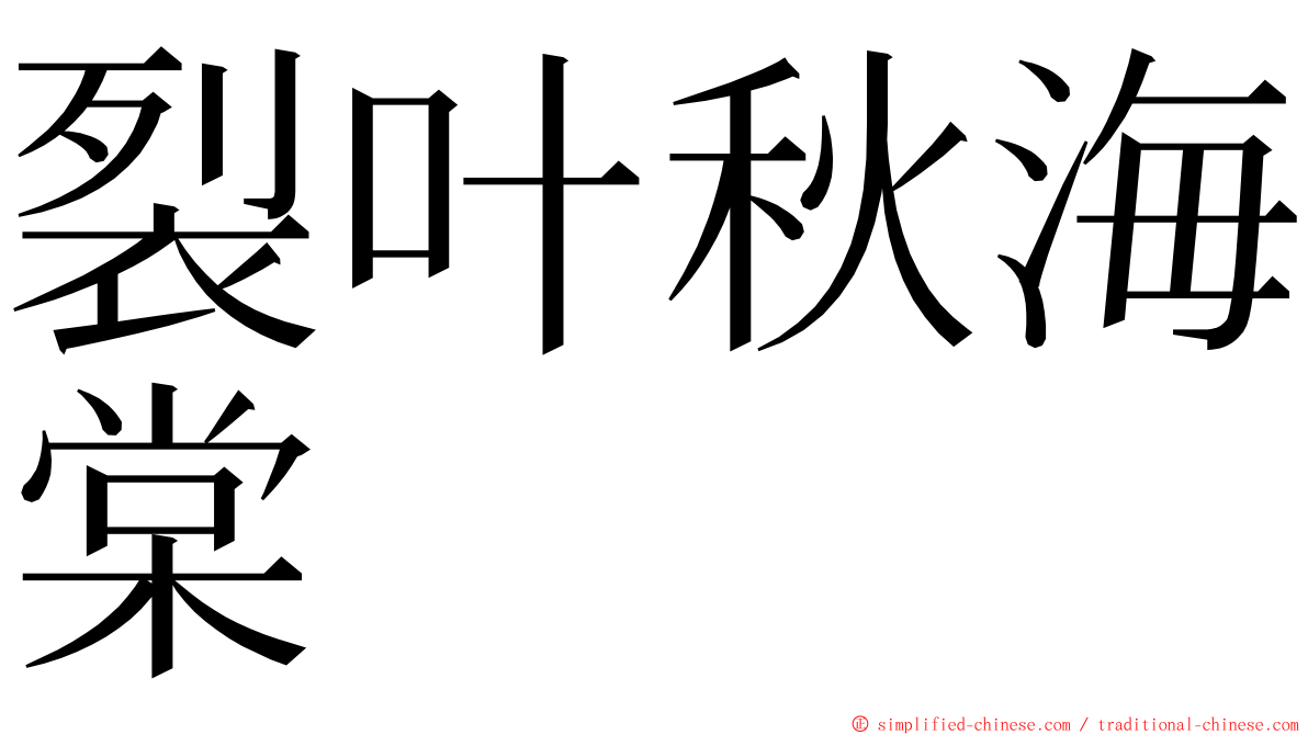 裂叶秋海棠 ming font