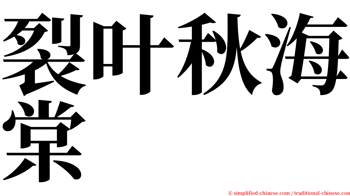 裂叶秋海棠 serif font