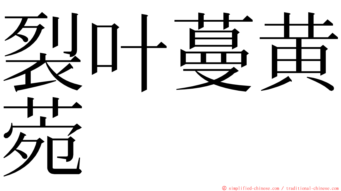 裂叶蔓黄菀 ming font