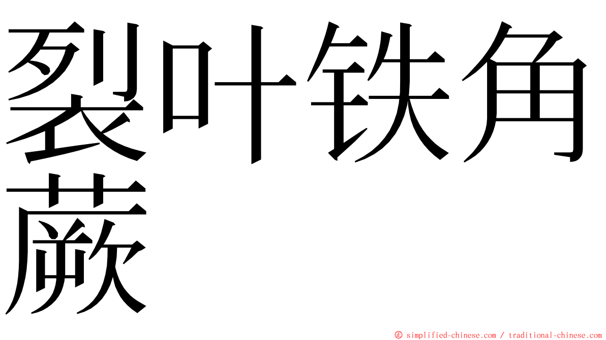 裂叶铁角蕨 ming font