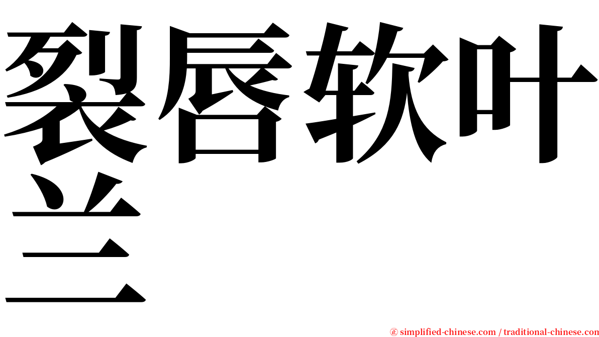 裂唇软叶兰 serif font